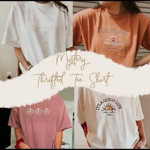 Mystery Thrifted Tee Shirt